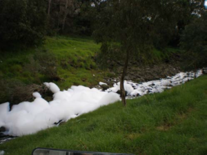 Detergent Pollution in Darebin Creek