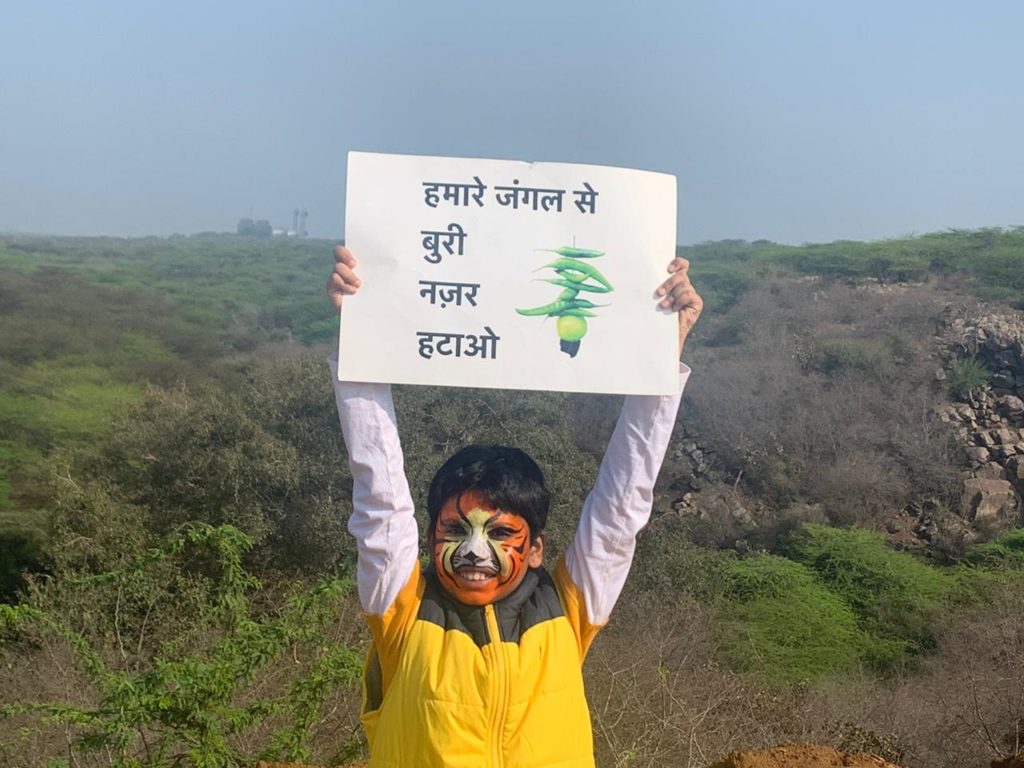 Why we need to protect the Aravalli forests from being cut ...